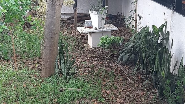 Sobrado 520m.2 com piscina em S.Miguel Paulista